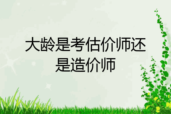 大龄是考估价师还是造价师