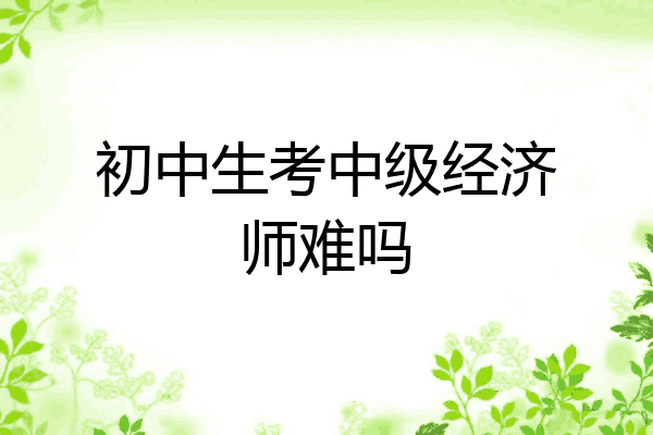 初中生考中级经济师难吗