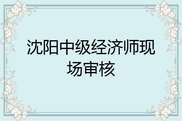 沈阳中级经济师现场审核