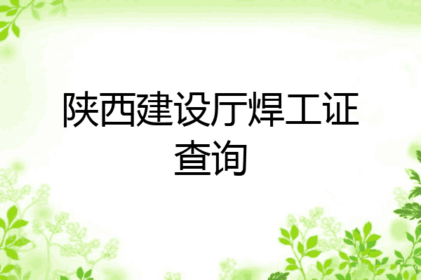 陕西建设厅焊工证查询