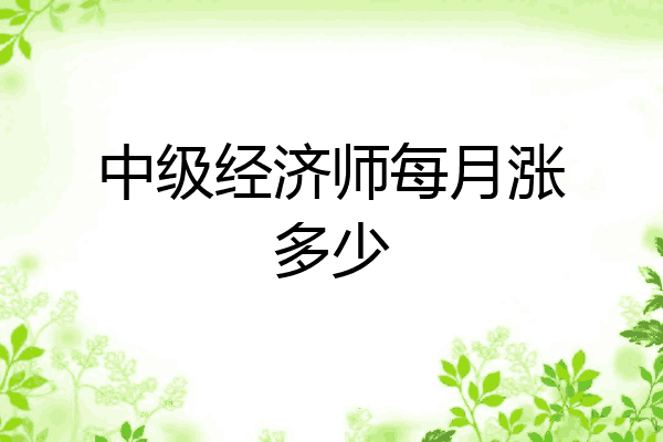 中级经济师每月涨多少