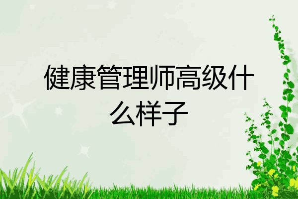 健康管理师高级什么样子