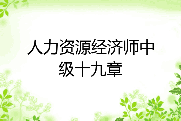 人力资源经济师中级十九章