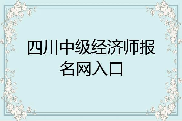 四川中级经济师报名网入口