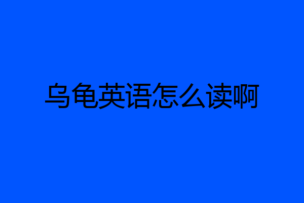乌龟英语怎么读啊