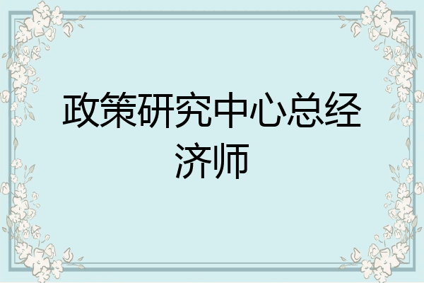 政策研究中心总经济师
