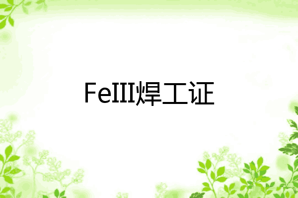 FeIII焊工证