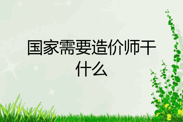 国家需要造价师干什么