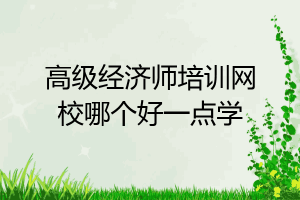 高级经济师培训网校哪个好一点学