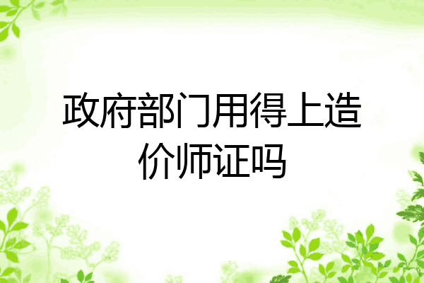 政府部门用得上造价师证吗
