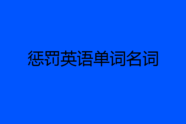 惩罚英语单词名词