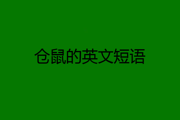 仓鼠的英文短语