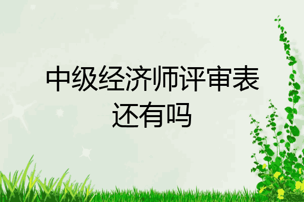 中级经济师评审表还有吗