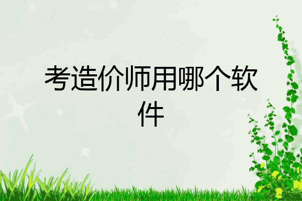 考造价师用哪个软件