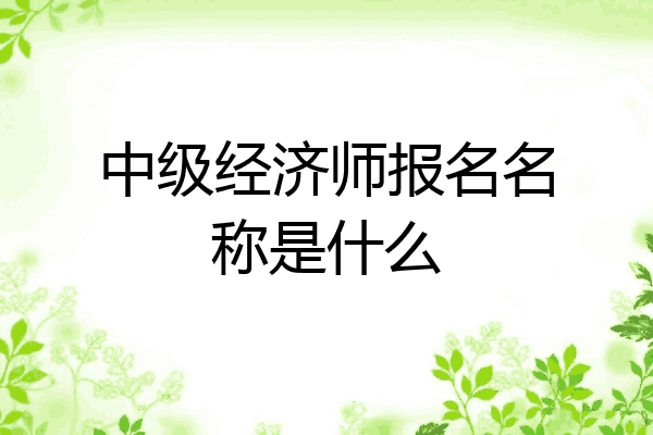 中级经济师报名名称是什么