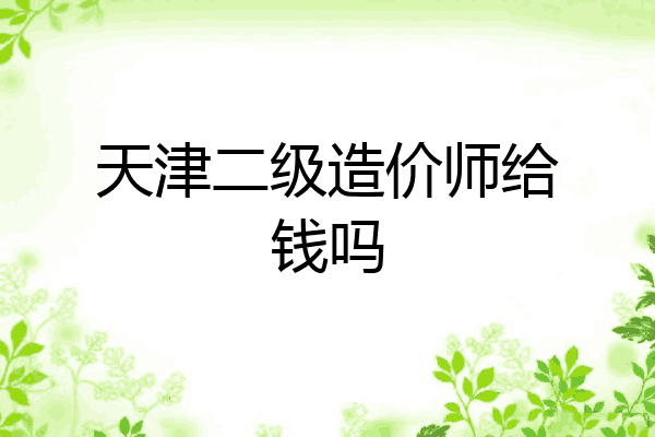 天津二级造价师给钱吗
