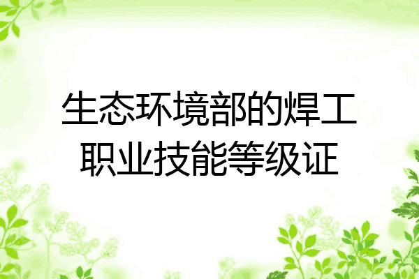 生态环境部的焊工职业技能等级证
