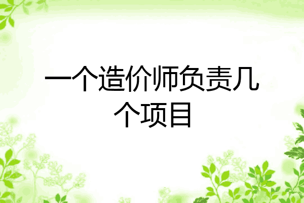 一个造价师负责几个项目