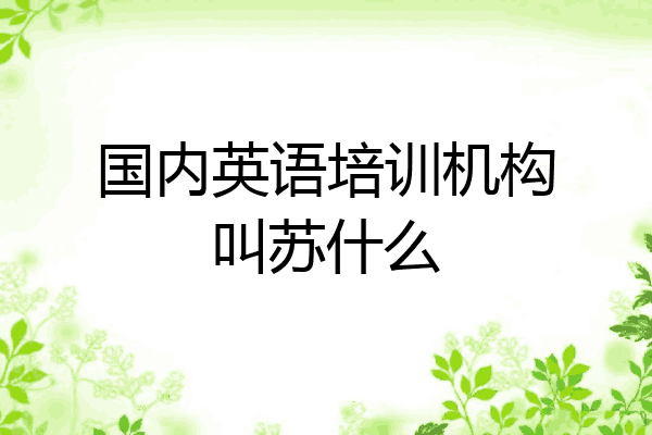 国内英语培训机构叫苏什么