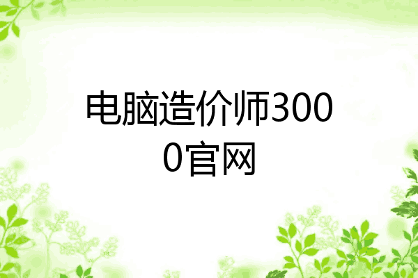 电脑造价师3000官网
