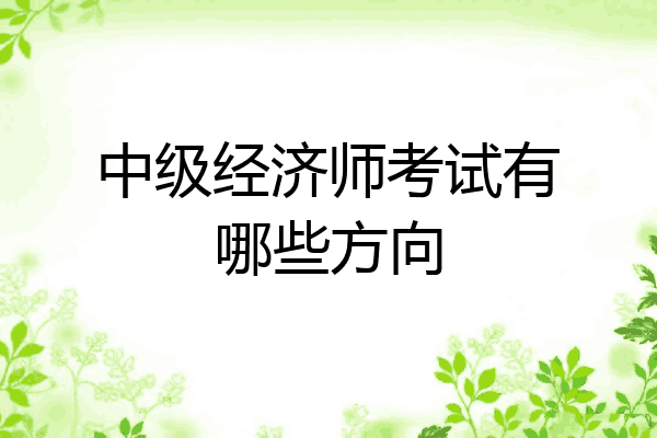 中级经济师考试有哪些方向