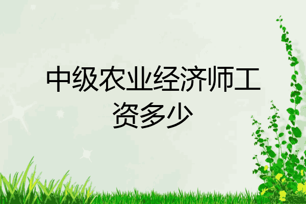 中级农业经济师工资多少