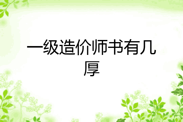 一级造价师书有几厚
