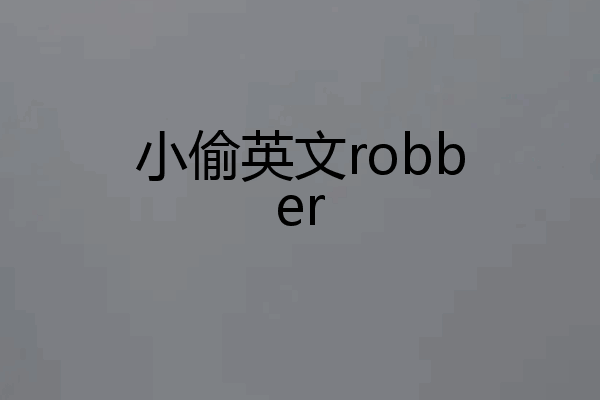 小偷英文robber