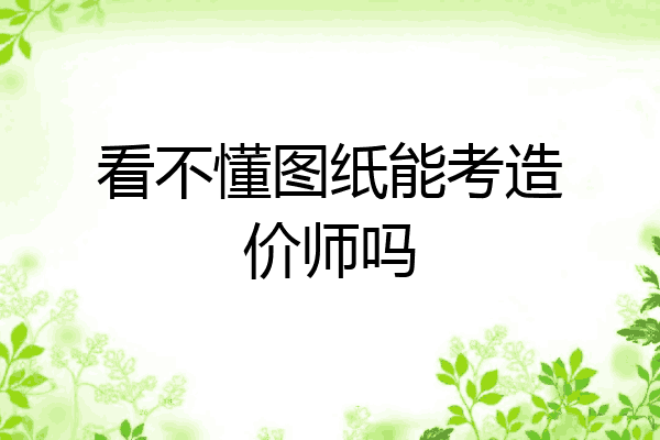 看不懂图纸能考造价师吗