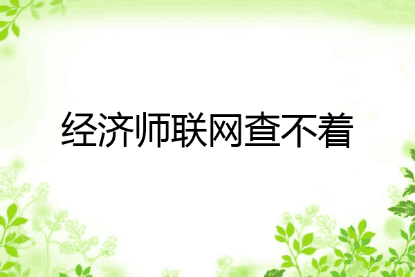 经济师联网查不着