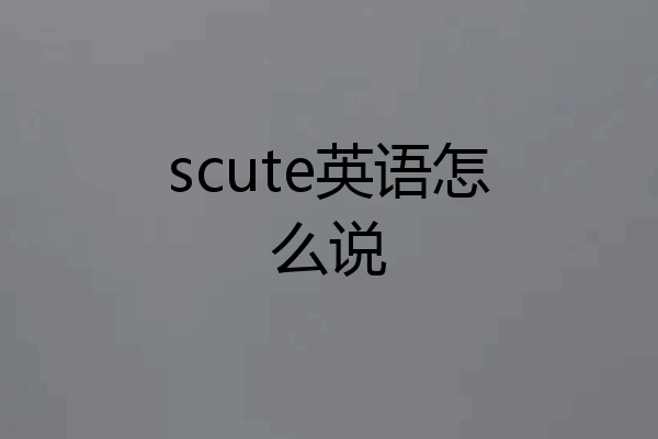 scute英语怎么说