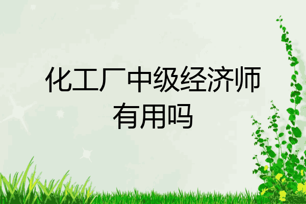 化工厂中级经济师有用吗