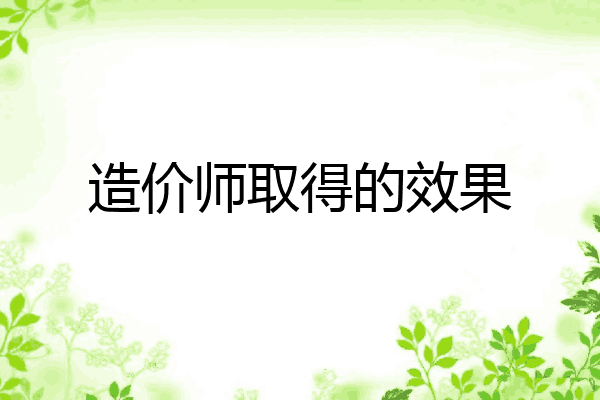 造价师取得的效果