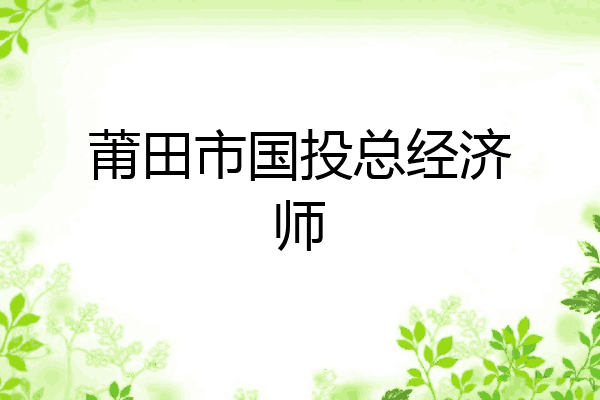 莆田市国投总经济师