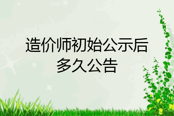 造价师初始公示后多久公告