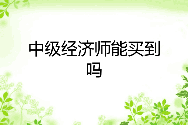 中级经济师能买到吗