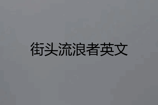 街头流浪者英文