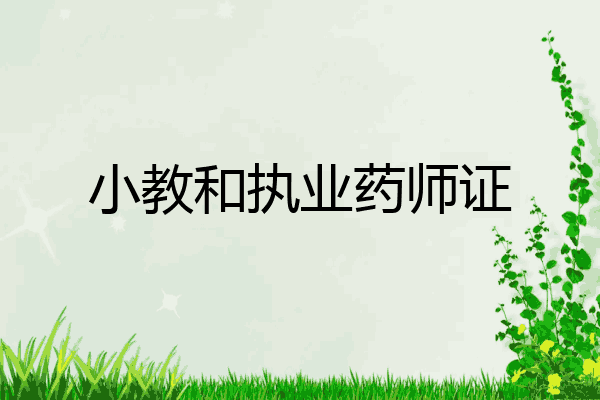小教和执业药师证