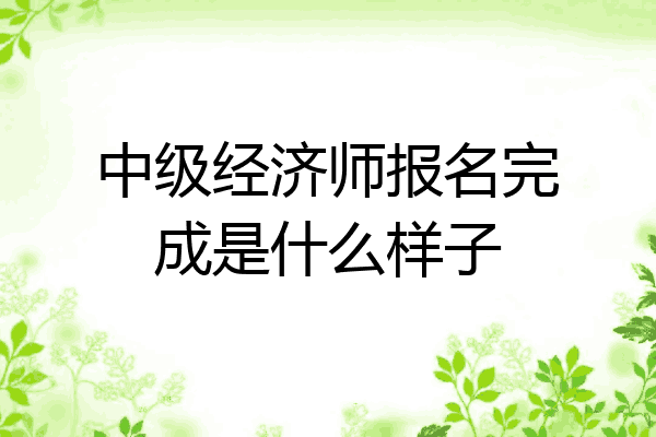 中级经济师报名完成是什么样子