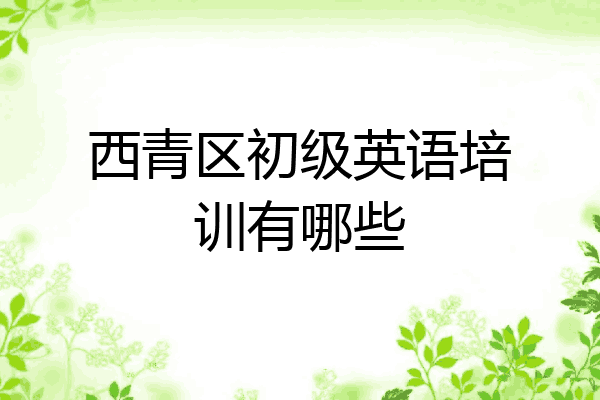 西青区初级英语培训有哪些