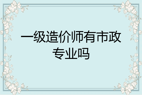 一级造价师有市政专业吗