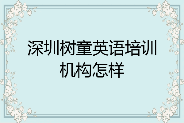 深圳树童英语培训机构怎样