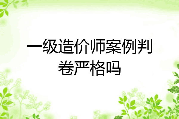 一级造价师案例判卷严格吗