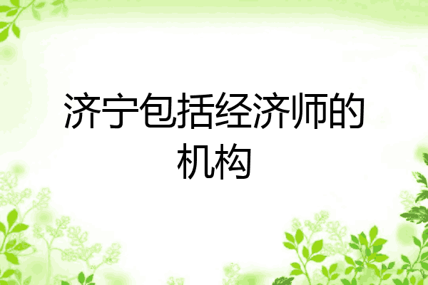 济宁包括经济师的机构