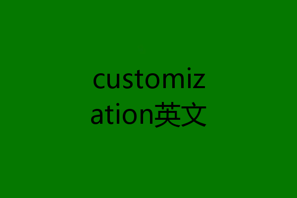 customization英文