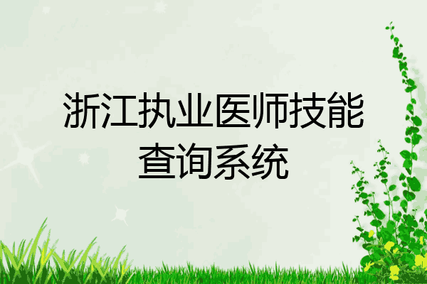 浙江执业医师技能查询系统