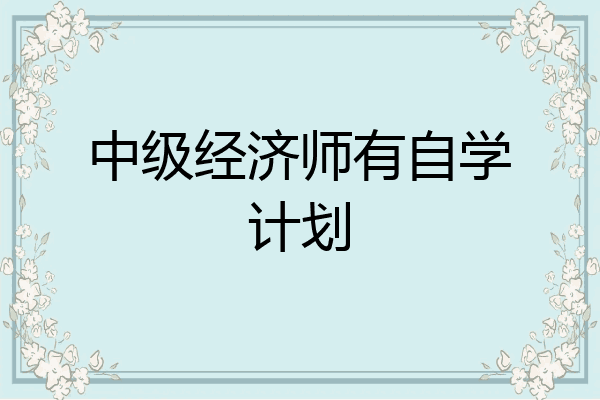 中级经济师有自学计划