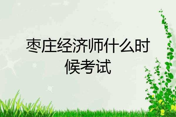 枣庄经济师什么时候考试