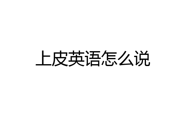 上皮英语怎么说