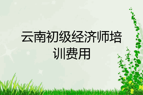 云南初级经济师培训费用